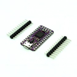 ATSAMD21 Cortex M0 Mini Breakout