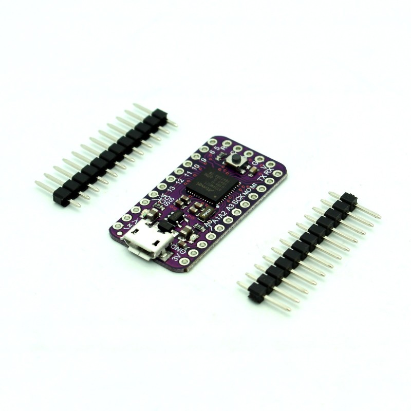 ATSAMD21 Cortex M0 Mini Breakout