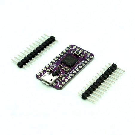 ATSAMD21 Cortex M0 Mini Breakout