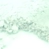 Thermochromic Pigment - White 20g