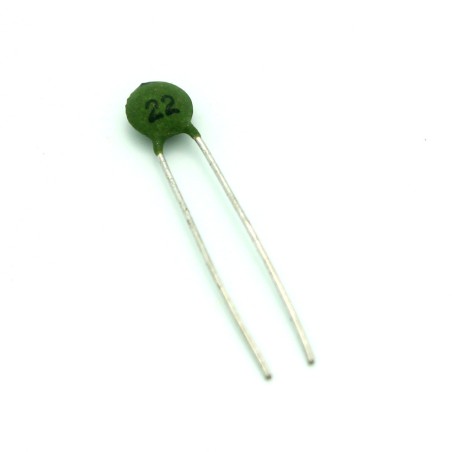 22pF Ceramic Capacitor