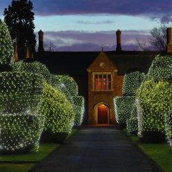 Cool White LED Net Lights / Fairy Lights / Christmas Lights 6.6 x 6.6 feet for Bushes