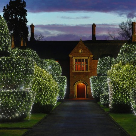 Cool White LED Net Lights / Fairy Lights / Christmas Lights 6.6 x 6.6 feet for Bushes