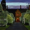 Cool White LED Net Lights / Fairy Lights / Christmas Lights 6.6 x 6.6 feet for Bushes