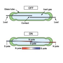 Magnetism Sensor / Reed Switch