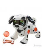 Ready-Made Robot Toys